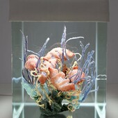 malatsion - Healing processes. Holobiont ID_027, 2020, installation with soft sculpture (silicone, pigments, stones), water, aquarium, lamp, pump, fabric, cloth