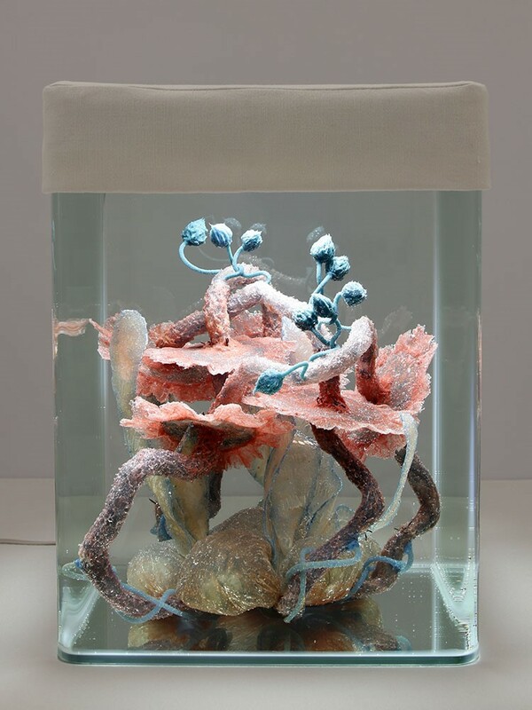 malatsion - Healing processes. Holobiont ID_025, 2020, installation with soft sculpture (silicone, pigments, stones), water, aquarium, lamp, pump, fabric, cloth