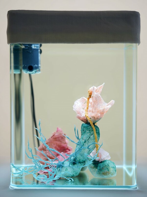 malatsion - Healing processes. Holobiont ID_028, 2020, installation with soft sculpture (silicone, pigments, stones), water, aquarium, lamp, pump, fabric, cloth