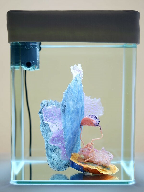 malatsion - Healing processes. Holobiont ID_029, 2020, installation with soft sculpture (silicone, pigments, stones), water, aquarium, lamp, pump, fabric, cloth