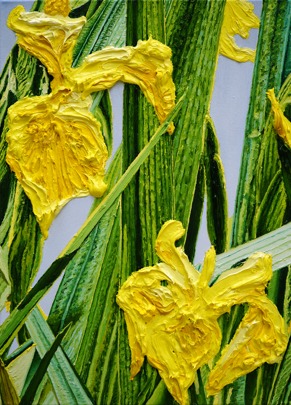 Katharina Gierlach - Sumpfschwertlilien Iris pseudacorus, 2022, Öl auf Leinwand