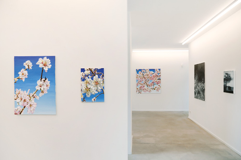 Blick in die Ausstellung