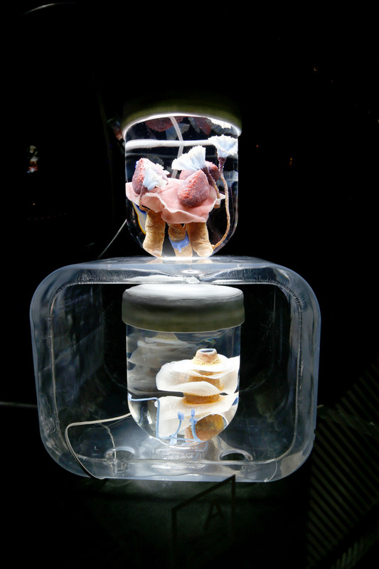 Blick in die Ausstellung