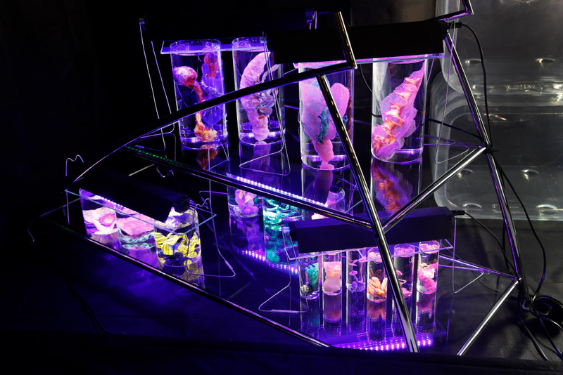 Blick in die Ausstellung