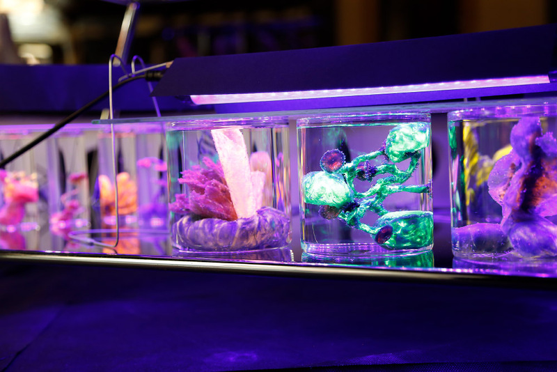 Blick in die Ausstellung