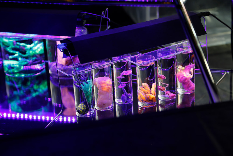 Blick in die Ausstellung