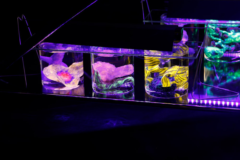 Blick in die Ausstellung