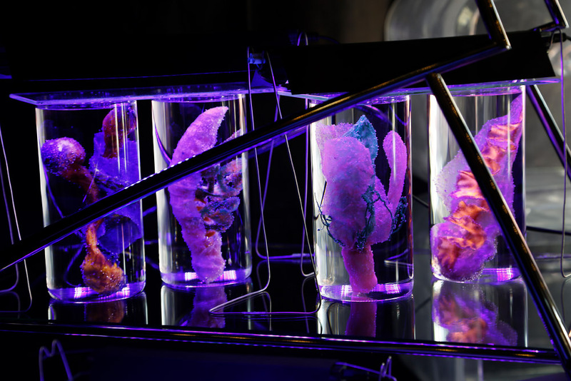 Blick in die Ausstellung