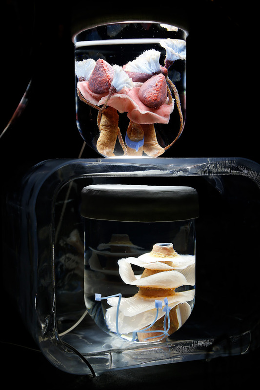 Blick in die Ausstellung