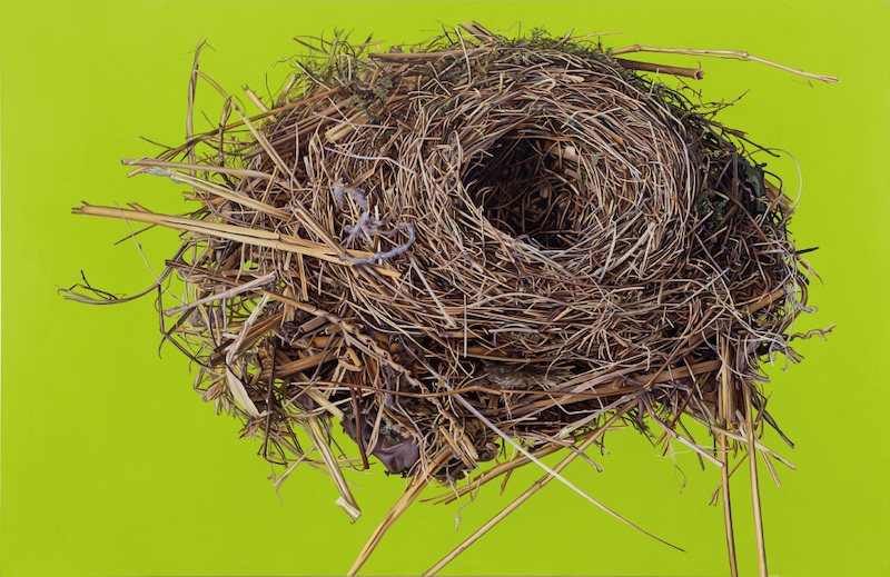 Günter Beier: "Vogelnest 22" (2017)