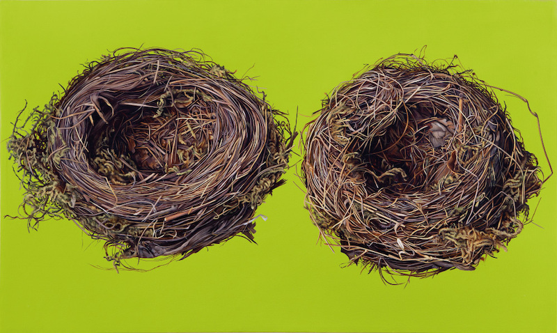 Günter Beier: "2 Vogelnester" (2013)