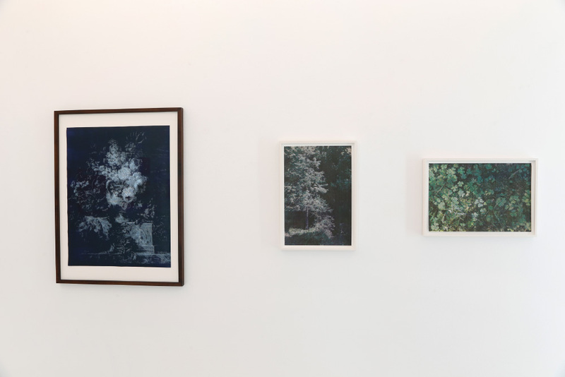 Blick in die Ausstellung