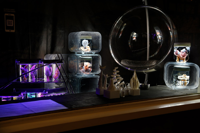 Blick in die Ausstellung