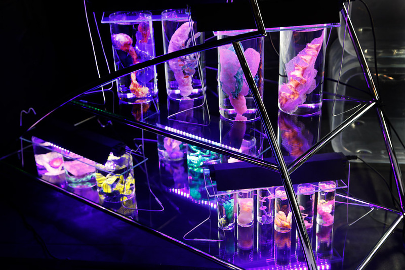 Blick in die Ausstellung