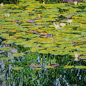 Katharina Gierlach - Am Scheerbach, 2025, Öl auf Leinwand