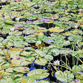 Katharina Gierlach - Am Scheerbach I, 2025, Öl auf Leinwand