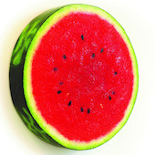Peter Anton - slice of watermelon