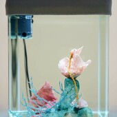 malatsion - Healing processes. Holobiont ID_028, 2020, installation with soft sculpture (silicone, pigments, stones), water, aquarium, lamp, pump, fabric, cloth
