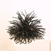 Bean Finneran - Black cone with red and white tips