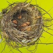 Blick in die Ausstellung