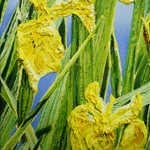 Katharina Gierlach - Sumpfschwertlilie Iris pseudacorus IV, 2022, Öl auf Leinwand