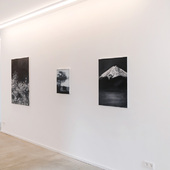 Blick in die Ausstellung