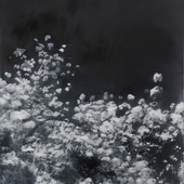 JKB Fletcher - Blossom, 2025, Oil on canvas