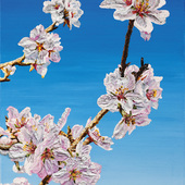 Blick in die Ausstellung