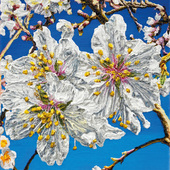 Katharina Gierlach - Mandelblüte IV