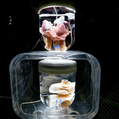 Blick in die Ausstellung