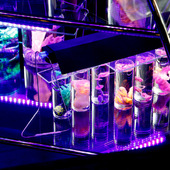 Blick in die Ausstellung