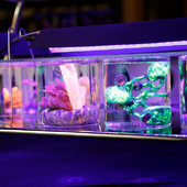 Blick in die Ausstellung