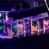 Blick in die Ausstellung